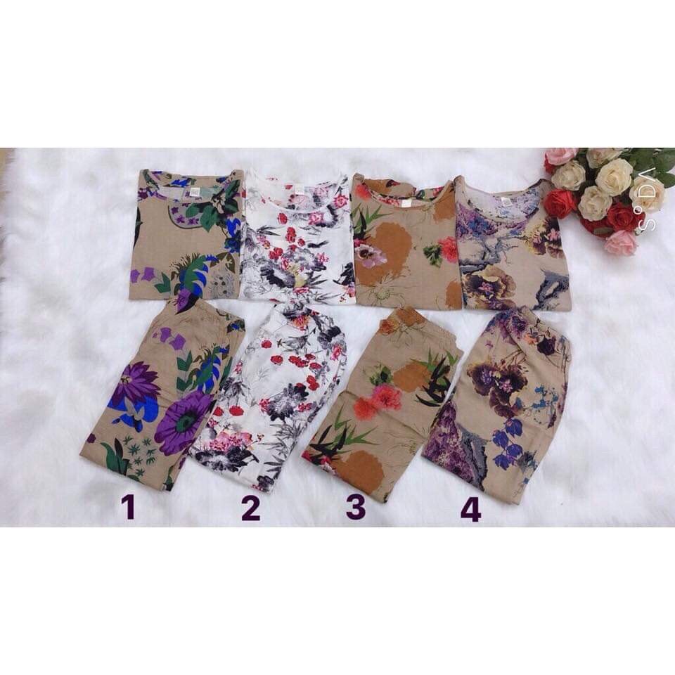 Bộ Đũi Quảng Châu Bà Già