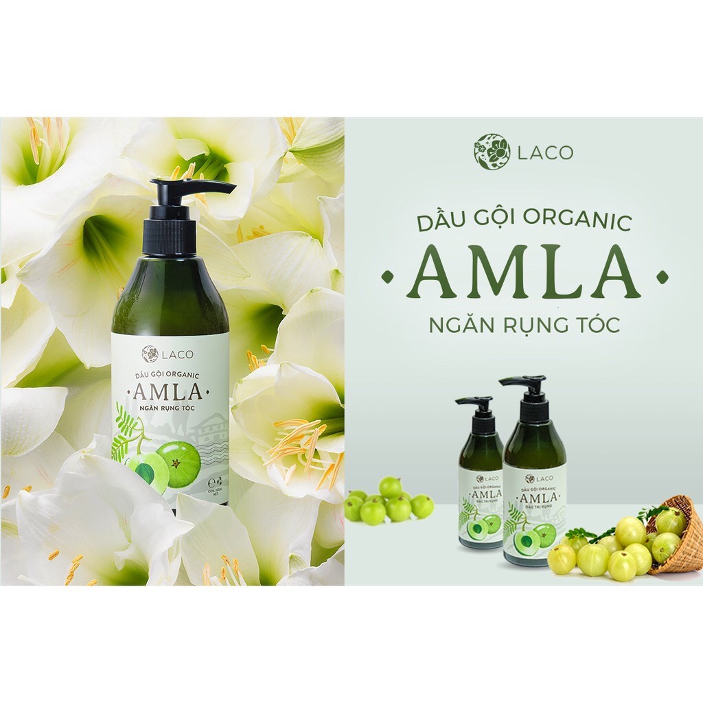 Bộ Dầu Gội LACO