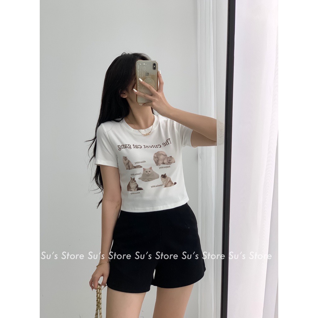 Aothunhinhmeo955 Áo phông croptop hình mèo