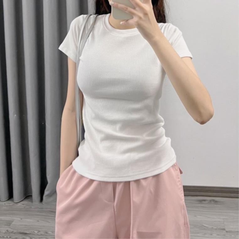 Áo thun trơn form ÔM babytee Aothuntron279